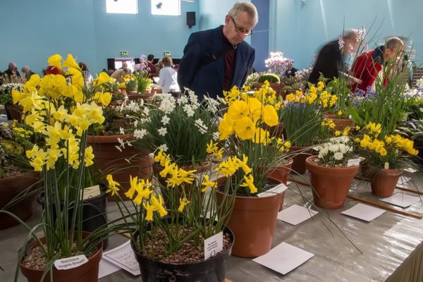 Loughborough Show 2019 | Photographer's Diary - Alpine Garden Society