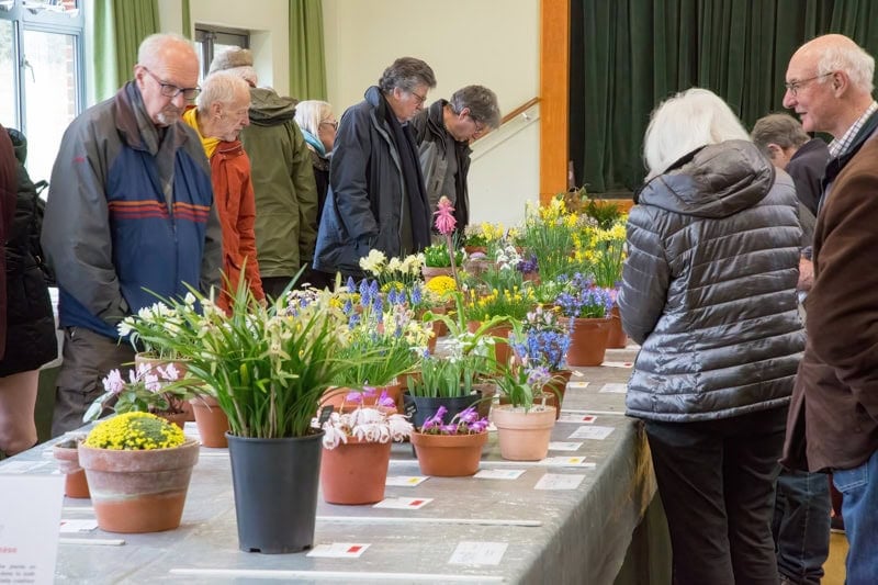AGS Early Spring Show 2023 - Alpine Garden Society