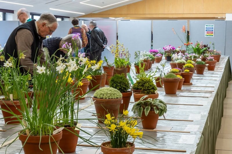 AGS South West Show 2024 - Alpine Garden Society